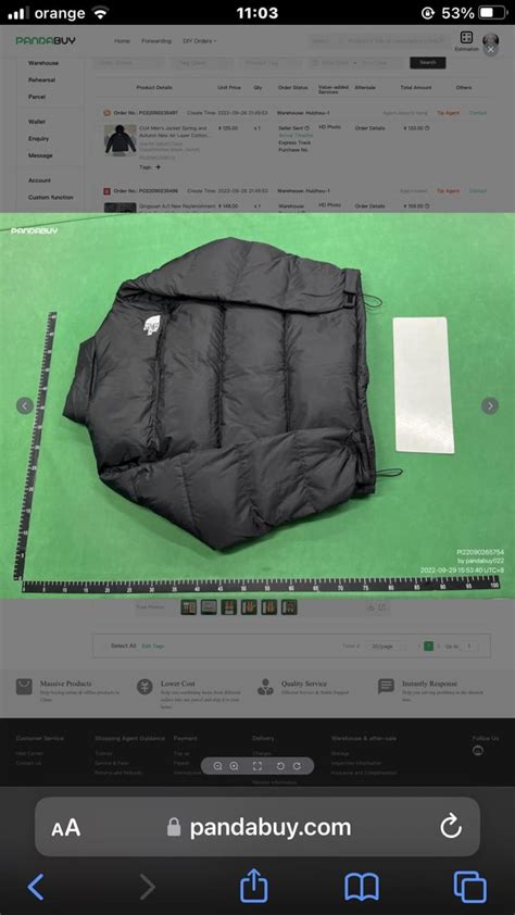 Tnf Puffer Jacket 255¥ (I want a Qc) : r/Pandabuy.